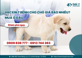 Vacxin 7 bệnh cho chó giá bao nhiêu? Mua ở đâu