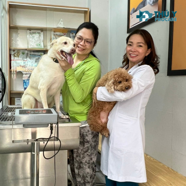 Bệnh viện thú y Procare chữa trị chó bị táo bón